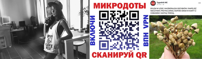 купить  сайты  Киров  Галлюциногенные грибы мицелий 